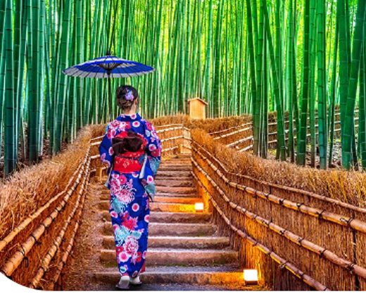 Hutan Bambu Arashiyama